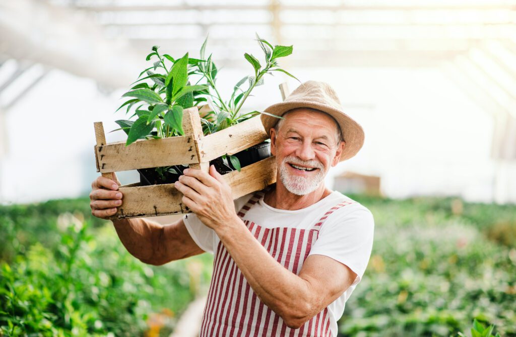 Man gardening in a green house.